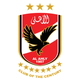 埃及开罗国民 logo