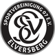 埃弗斯堡女足 logo